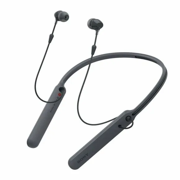 SONY「WI-C400」の全体像