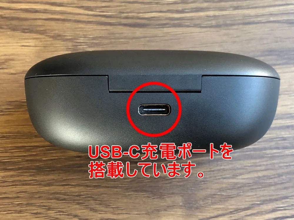 【Anker Soundcore Life P2レビュー】五千円で本体7時間再生・完全防水・AAC&APT-X・通話ノイキャン!!超高性能&高コスパBluetooth完全ワイヤレスイヤホン|外観:ケース背部に充電ポートが配されています。