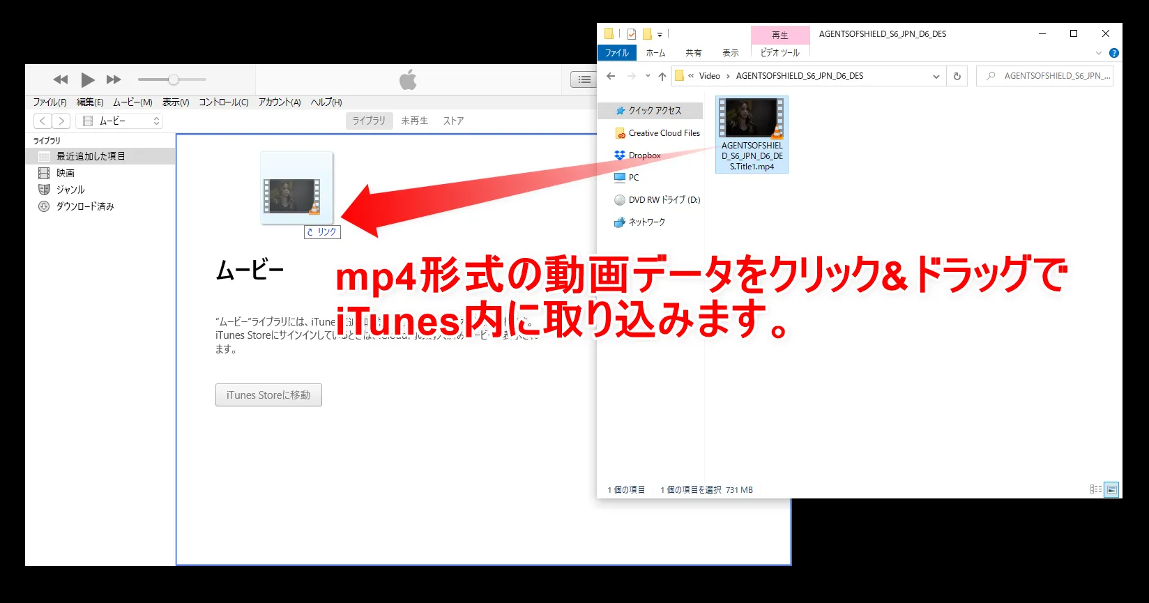 【DVDFab11リッピング方法】DVDFab11を使ってDVDをリッピング! mp4形式に変換してiPhoneに動画データを取り込む方法|ISOファイルからも変換可能|リッピングしたデータをiPhoneに取り込む:動画データをiTunesに登録する