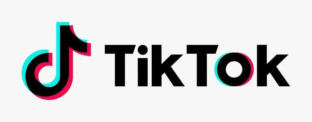 【Tiktok動画を保存する方法】スマホアプリで保存できないビデオはパソコンでダウンロード!Tiktok動画を完璧に保存する方法を徹底解説|スマホアプリでは保存できないTiktok動画を保存する方法