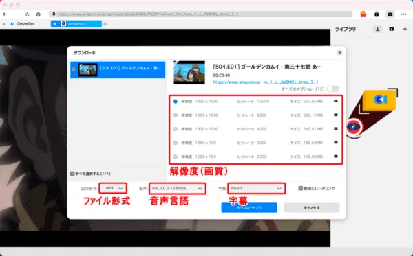 Amazonプライムビデオを画面録画するMac編|動画はPCに永久保存|Macでアマゾンプライムビデオを画面録画する方法:解析が終わると画面録画(ダウンロード)する動画コンテンツの詳細を設定する画面が表示されます。 ここで必要に応じて解像度(画質)・出力形式(ファイル形式)・音声(言語)・字幕を指定しましょう。