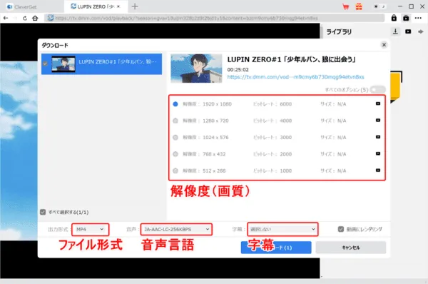 DMM TVの録画方法｜DMM TVの動画を丸ごと録画ダウンロードしてパソコンに永久保存!!｜録画方法：解析が終わると画面録画（ダウンロード）する動画コンテンツの詳細を設定する画面が表示されます。 ここで必要に応じて解像度（画質）・出力形式（ファイル形式）・音声（言語）・字幕を指定しましょう。